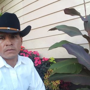 Meet your Posher, Silverio s